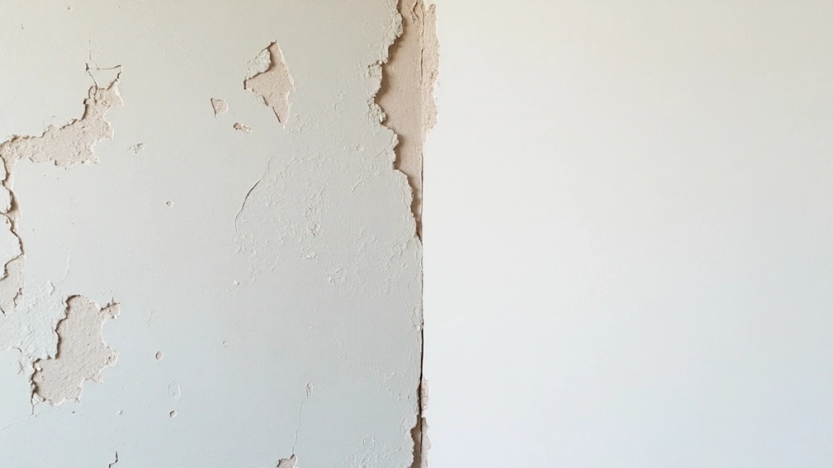 płyty gk zamiast tynku