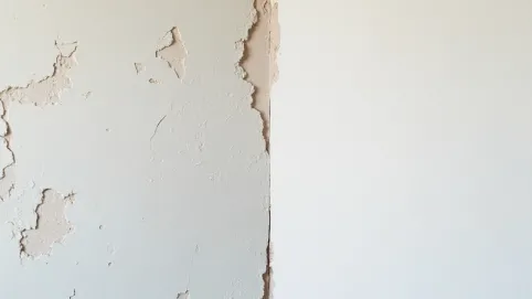 płyty gk zamiast tynku